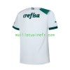 Maillot de Foot Palmeiras Extérieur 2023-24